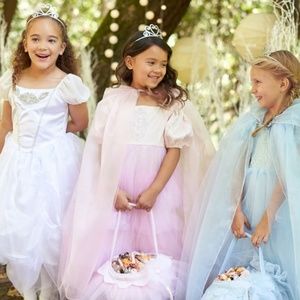Pottery Barn Kids Costumes Pbk 3 T Pink Princess Costume With
